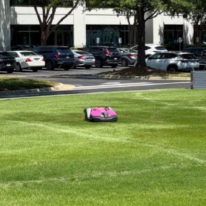 stranded lawnmower